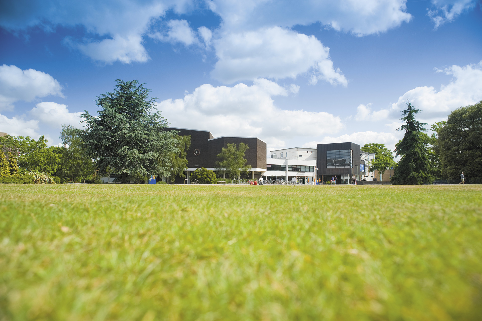 A photo of the central green quad on Whiteknights Campus