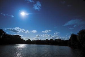 A photo of the University of Reading Whiteknights lake