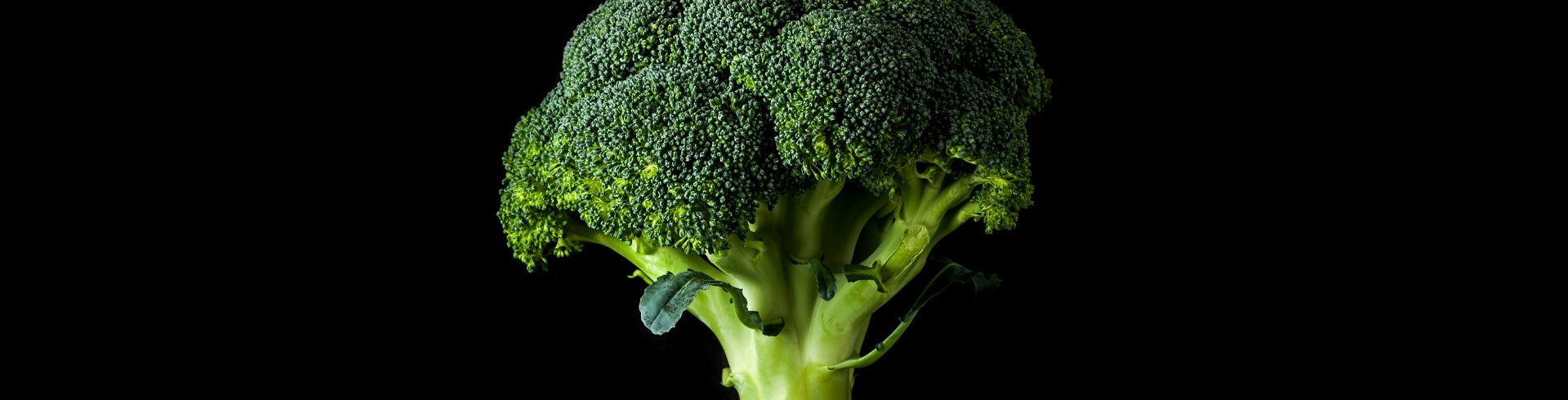 Photograph of Broccoli