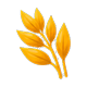 Barley (gluten containing grain)