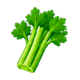 Celery