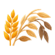 Cereals containing gluten
