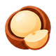 Macadamia nut