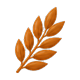 Rye